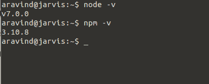 node-npm-version