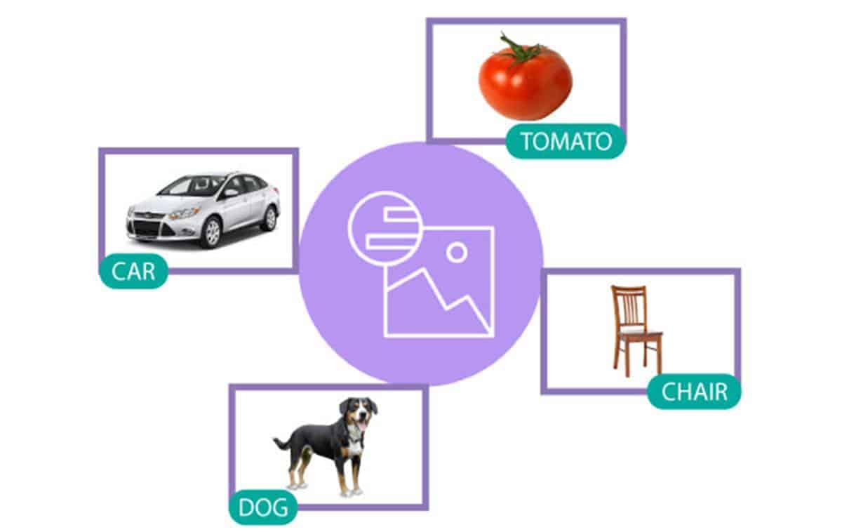Watson Image Recognition
