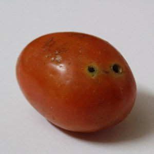 Tomato Defect