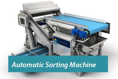 Automatic sorting using scanning machines