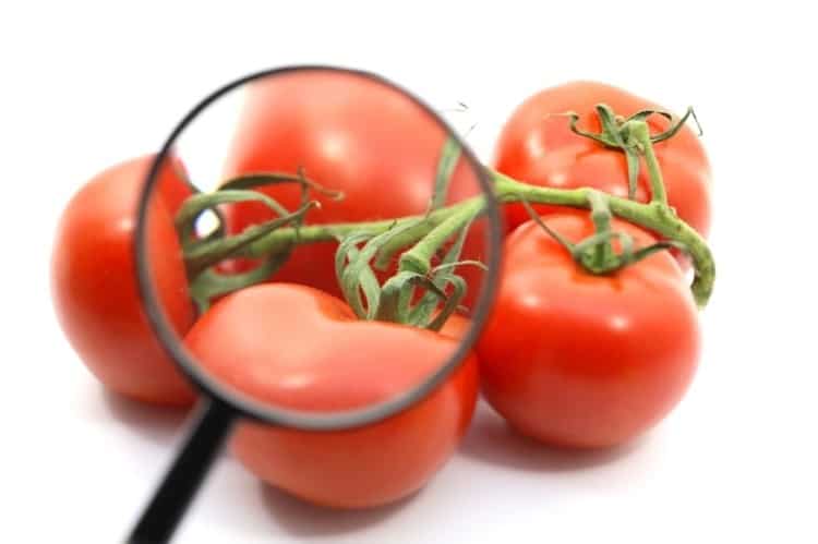 Tomato Automated Quality Inspection
