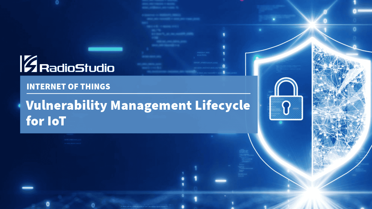 Vulnerability Management Lifecycle for IoT